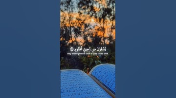 "إنّ الأبرار لَفي نعيم... عَيْنًا يَشْرَبُ بها المُقرّبون" | تلاوة تذيب القلب لياسر الدوسري