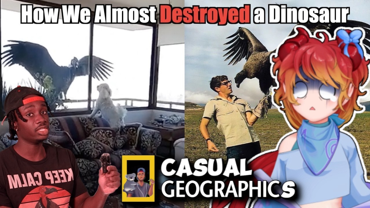 This Vulture on Steroids is a DRAGON?!? | Casual Geographic Reaction