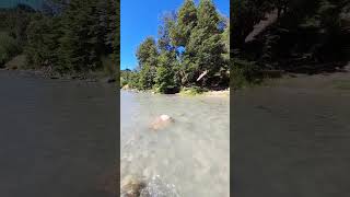Desde otras vistas conocimos el Rio Foyel y es así de hermoso: cerca de #ruta40 Patagonia Argentina