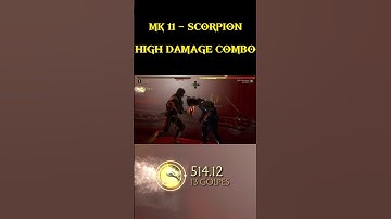 Scorpion High Damage Combo in MK11!!