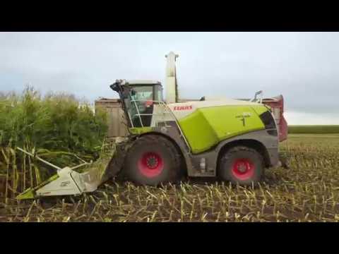 cy-harvesting,-silage-2019