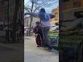 Cat Daddy Lil Red Goes To New York City! #catdaddylilred #funny #comedy #viral #newyorkcity