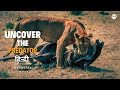 Uncover the Predator - हिन्दी डॉक्यूमेंट्री | Discovery channel Hindi documentary, Full Episode