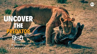 Uncover the Predator - हिन्दी डॉक्यूमेंट्री | Discovery channel Hindi documentary, Full Episode screenshot 2