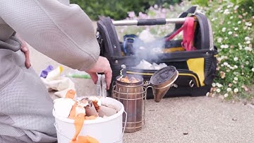Uncover the Essentials: Getting Started with Beekeeping - Equipment and Tools
