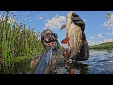 UNDERWATER HUNTING ON A SMALL RIVER / COMPASS #69