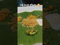 పెళ్లి విందు భోజనం 😋😋#pellibhojanam#foodshorts#telugushorts #2026