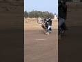 Splendor wheelie stuntwheelie on 100 cc satendra dhakad stunts shivpuri stunt wheelie