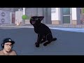 Блэк Кити в Биг Сити 😼 ► Valera Ghosther ( Валера Гостер ) | Реакция
