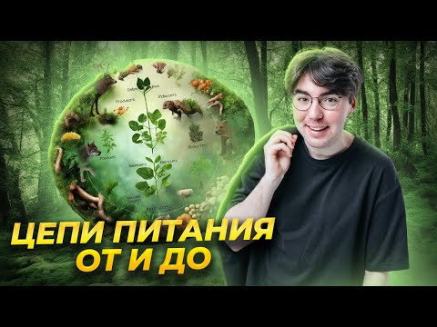 Видео: Цепи питания: продуценты, консументы, редуценты | Биология ОГЭ Умскул