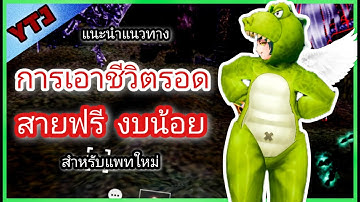 CABAL INFINITE COMBO สายฟรี งบน้อย เล่นยังไงให้อยู่รอด กับการอัพแพทล่าสุดและต่อๆไป