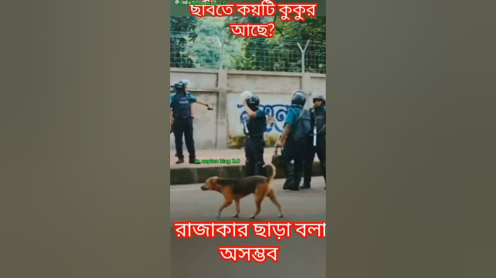 Jr. captan king 2.0 ছবিতে কয়টি কুকুর  আছে বলেন তো? # রাজাকার ছাড়া বলা অসম্ভব