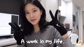 [VLOG] 일상 브이로그 | 일주일vlog | 돈 쓰러 한양 온게 분명 | cos | 이솝 | 언박싱 | 면접 | 먹로그(미역국,김치찜,쌀국수,몽탄,월남쌈,계림닭볶음탕)