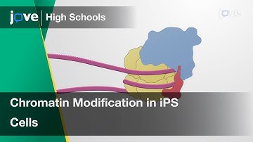 Chromatin Modification in iPS Cells | Cell Bio | Video Textbooks - Preview