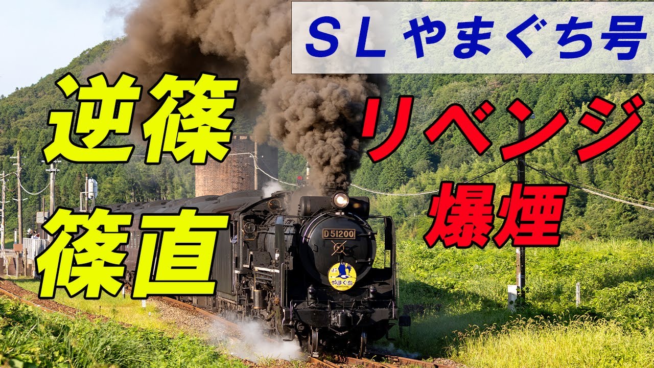 リベンジの爆煙　田代直線・篠目直線・逆篠・篠目駅発車！ #やまぐち号 #蒸気機関車 #train #locomotive #d51 #sl #鉄道