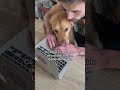 Travailler avec son chien 