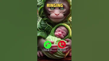 Best Iphone Ringtones Ringtone Smartphone Tech Ringtones Duet Ringintone 