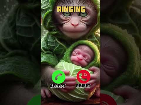 Best Iphone Ringtones Ringtone Smartphone Tech Ringtones Duet Ringintone