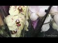 Орхидеи в Леруа: Биг Липы/ Шикарные сорта/Новый Завоз 20.11.20.