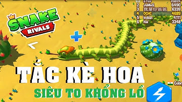 Rắn Tắc Kè SIÊU TO KHỔNG LỒ | Rắn Săn Mồi 3D | Snake Rivals