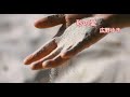 【砂の愛 】 広野ゆき