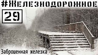 #Railwya video project - 29s episode - Abandoned railroad Krasnoflotsk
