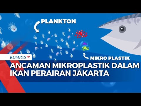 Ancaman Kandungan Mikroplastik Dalam ikan Makin Nyata, Apa Langkah Pemerintah?