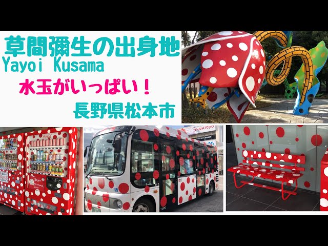 草間弥生　YAYOI KUSAMA パスケース sddefault.jpg