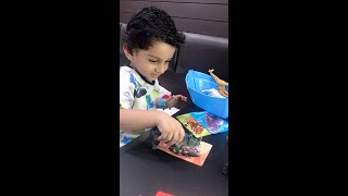 Matching Picture Cards with Objects | Learning About Animals | Cognitive Development Activity Matching Picture Cards with Objects | Learning About Animals | Cognitive Development Activity