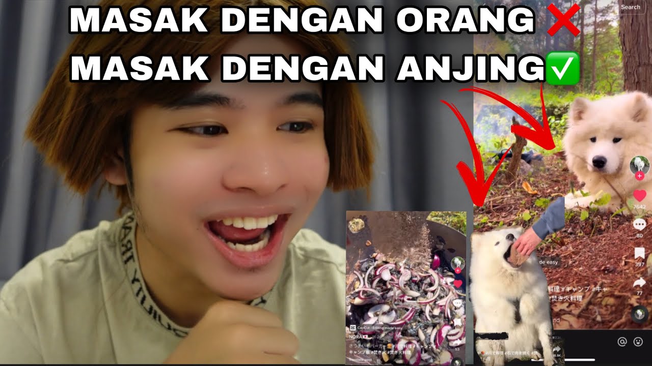 MASAK DENGAN ORANG❌ MASAK DENGAN ANJING✅ | BOLEH PULAK😭