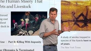 The Pogue Review: Windows 10