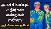 TAMIL ASURAN - தமிழ் அசுரன்