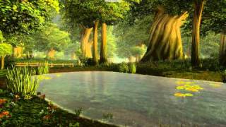 World of Warcraft: Water animation bug