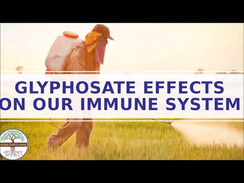 Is Glyphosate Harmful to Humans? Monsanto Glyphosate (roundup weed and grass killer)