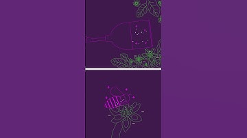 BloomX biomimetic technology for pollen grains collection - animation for mobile