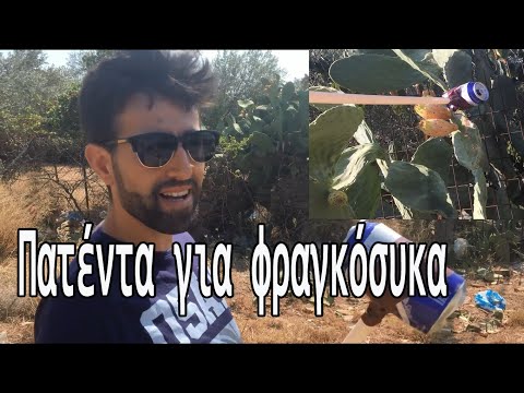 Πως κόβουμε φραγκόσυκα