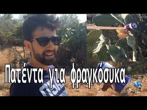 Βίντεο: Πώς να απαλλαγείτε από φραγκόσυκο σε ένα νεογέννητο