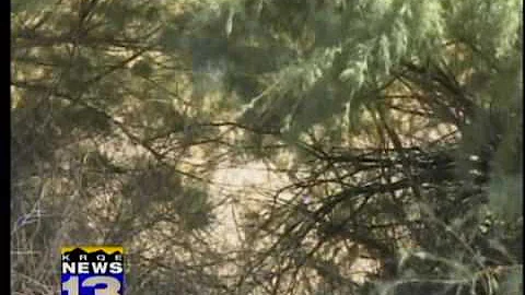 River walkers discover weapons cache