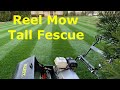 Mowing grass HIGHEST setting with REEL mower