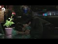 الحلقة 04 من المسلسل الكوري زهرة مصاص الدماء الحلقة 04 من المسلسل الكوري زهرة مصاص الدماء