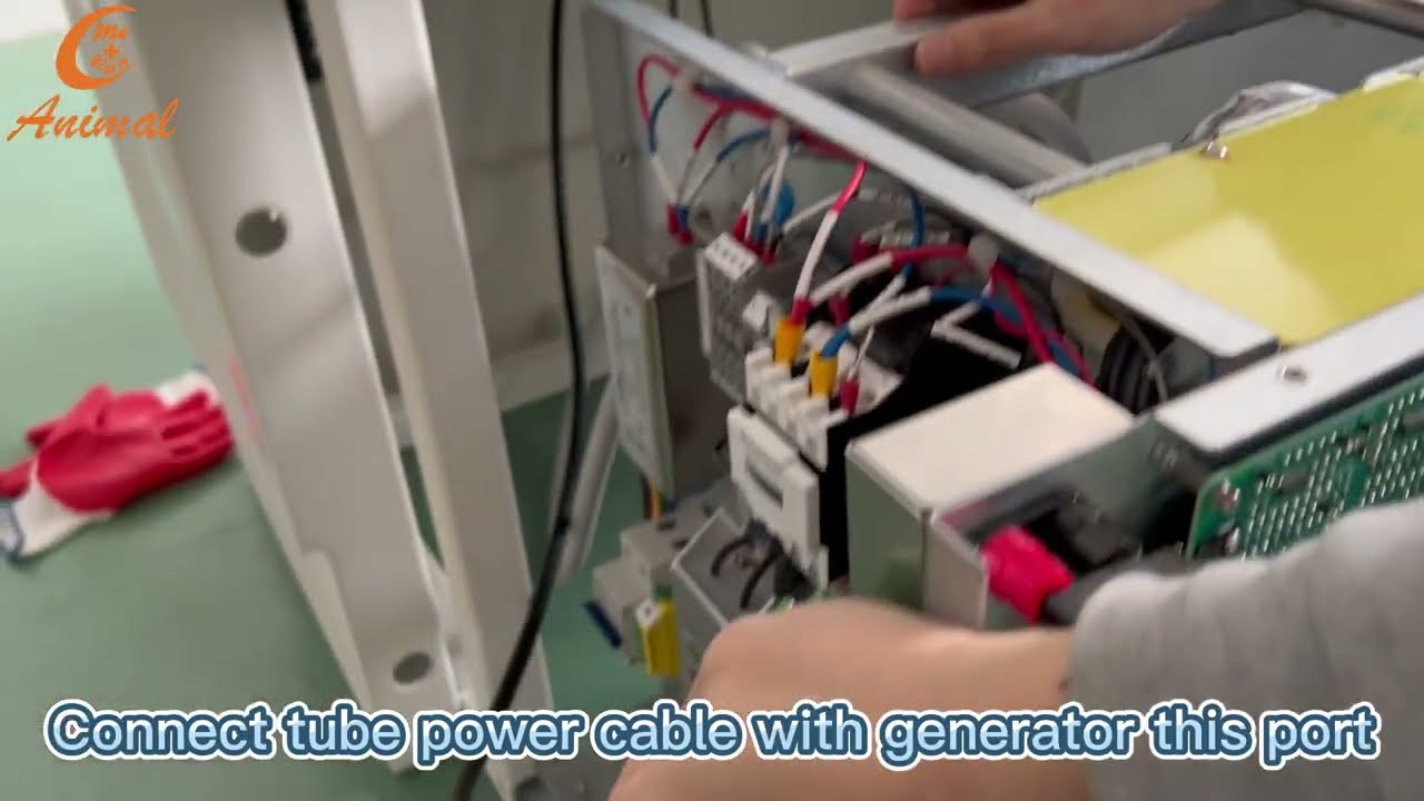 32KW Dynamic veterinary X-ray machine installation