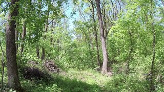 Видео СЕРГЕЕВКА приехали подышать свежим воздухом. (автор: Олег Жукотинский)