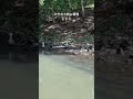 【ASMR】松江城の遊覧船でカモの大群に遭遇🦆🦆🦆