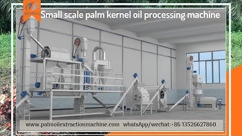 Small scale palm kernel oil processing plant, palm kernel oil milling machine 3D animation video