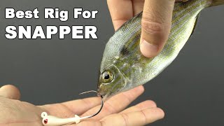 How To Rig Pinfish For Big Mangrove Snapper (And Other Offshore