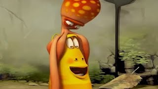 LARVA   OCTOPUS | Cartoon Movie | Videos For Kids | Larva Cartoon | LARVA Official