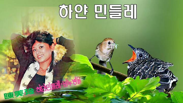 하얀 민들레 - 진미령- LP Music STEREO MBC-TV 연속극의 주제가 (오아시스레코드사 OL 2223 1979년 10월 31일 하얀 민들레 / 비누방울)