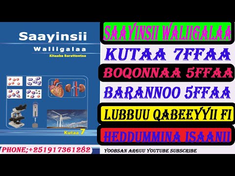LUBBUU QABEEYYIIFI HEDDUUMINA ISAANII SAAYINSII WALIIGALAA KUTAA 7FFAA BOQONNAA 5FFAA B N 5FFAA