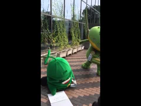 ゴーヤ先生とカパル① 20140906