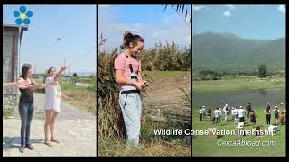 Wildlife Conservation Internship - Ella